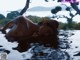 A naked woman laying in a pool of water.