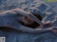 A naked woman laying in the sand on a beach.